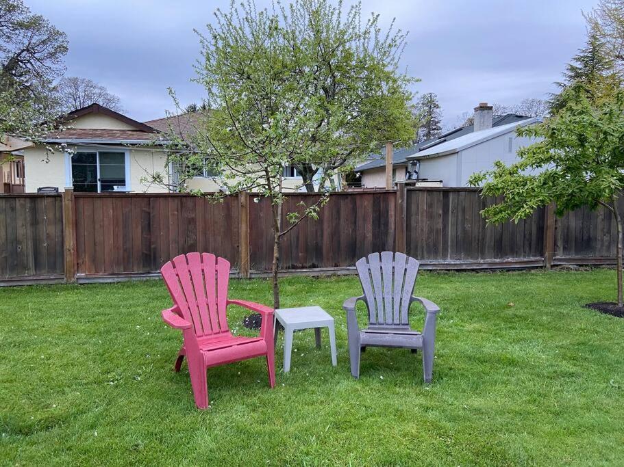Adorable 2-bedroom With Free Parking Apartament *